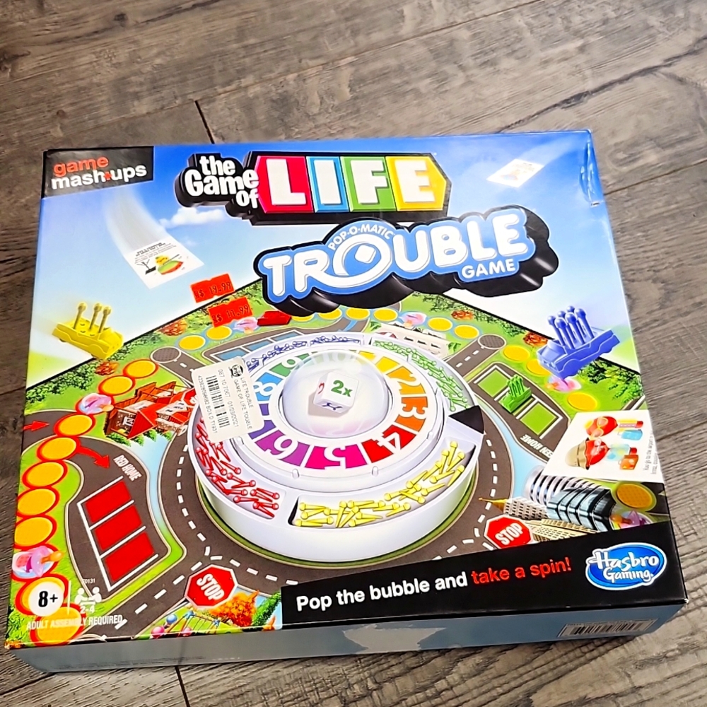 The game of life's troubles game